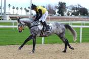 La photo de Le Petit Nice 