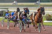 La photo de Grand Trio Ludois Arrivée Quinté+ Pmu Prix Florence Lecellier à ENGHIEN