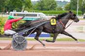 La photo de King Opera Arrivée Quinté+ Pmu Prix De La Manche à ENGHIEN