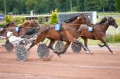 La photo de Every Time Winner Arrivée PMU Pick5 Prix du Louvre à Enghien
