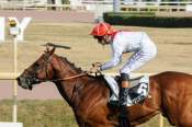 La photo de Stolen Kiss Arrivée Quinté+ Pmu Prix Hubert De Catheu à VICHY