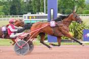 La photo de Kong D'hollow 
