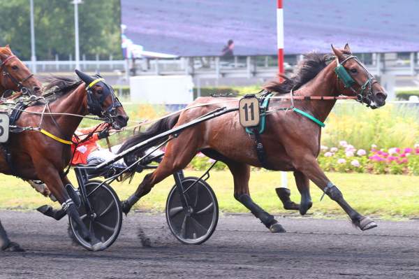 La photo de Maya Du Surf 