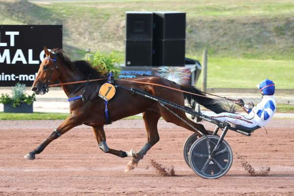 Photo de LUI DU DONJON cheval de TROT ATTELE