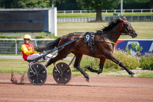 Photo de MILA DES COUPERIES cheval de TROT ATTELE
