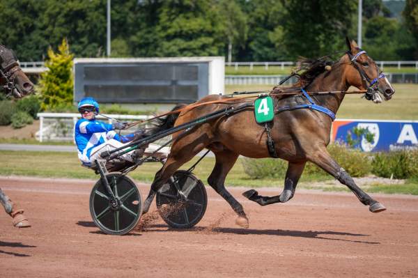 Photo de LET'S GO LANDEMER cheval de TROT ATTELE
