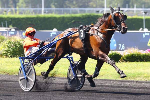 La photo de Mystic Sonato arrivée pmu Prix Abel Bassigny - Critérium 3 Ans Q1 (Gr. II) à Vincennes