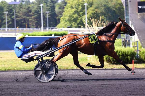 La photo de Liza Josselyn arrivée pmu  Prix Paul Leguerney - Critérium 4 Ans Q1 (Gr.II)à Vincennes