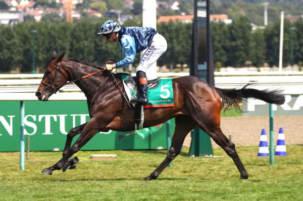 Photo de INDALIMOS cheval de PLAT