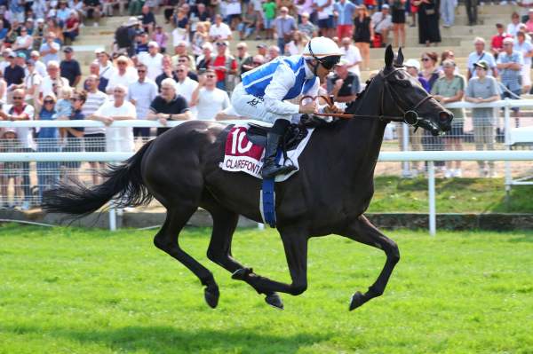 Photo de MELANESIA cheval de PLAT