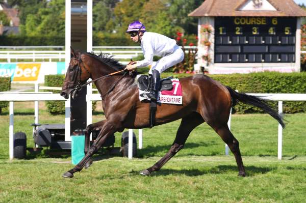 Photo de MONTGAUDRY cheval de PLAT