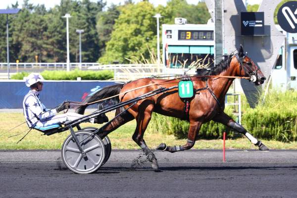 La photo de Mack De Blary arrivée pmu Yearlong Cup 2025 Arqana Trot à Vincennes