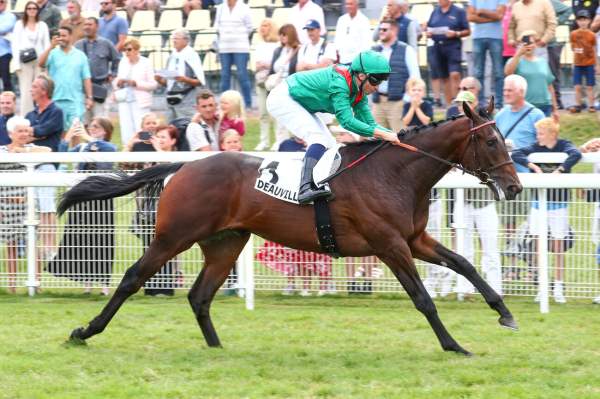 La photo de Samangan arrivée pmu Prix de Saint Hymer à Deauville