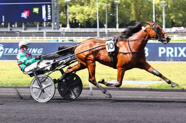 Photo de COBRA KILLER GAR cheval de TROT ATTELE