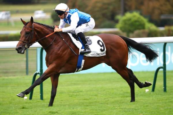 Photo de ZARAKI cheval de PLAT