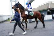 La photo de Jott Du Bocage