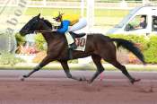 La photo de Battuta Face