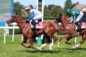 La photo de Pretty Queen arrivée pmu Prix Lady Berry à Clairefontaine