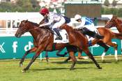 La photo de Sahlan arrivée pmu Prix Daphnis (Gr.3) à Deauville-La-Touques