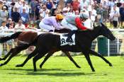 La photo de Daisy Daisy arrivée pmu Prix de Valmont à Deauville