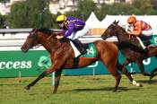 La photo de Alcotan arrivée pmu Prix de Glanville à Deauville
