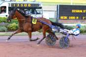 La photo de Jack Des Ass Arrivée Quinté+ Pmu Prix Des Escallonias à CABOURG