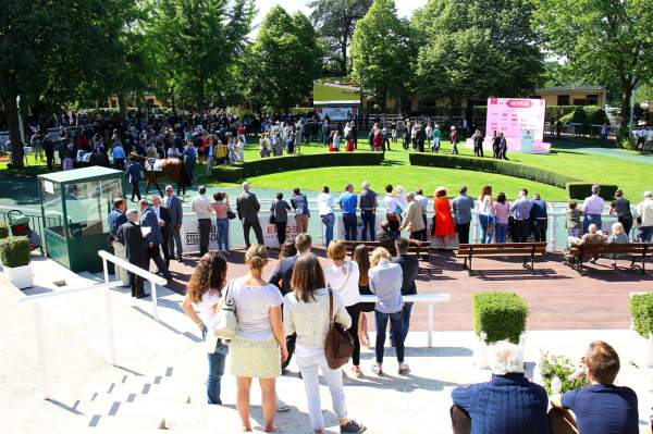 La photo de Hippodrome d'Auteuil Rond de présentation