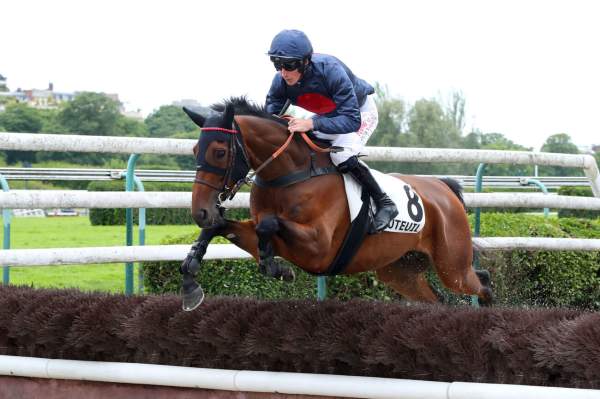 Photo de MAGIC FLIGHT cheval de HAIES