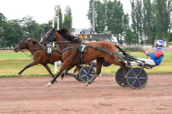 Photo de JALTO DU TREMONT cheval de TROT ATTELE