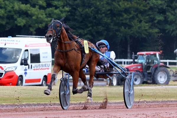 Photo de MALUMA D'ANGIS cheval de TROT ATTELE