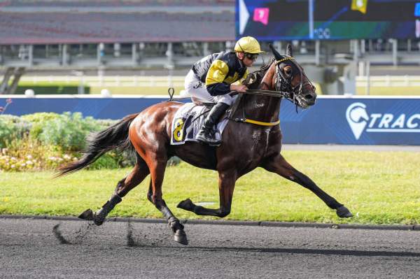 La photo de Morpheus Du Loisir 