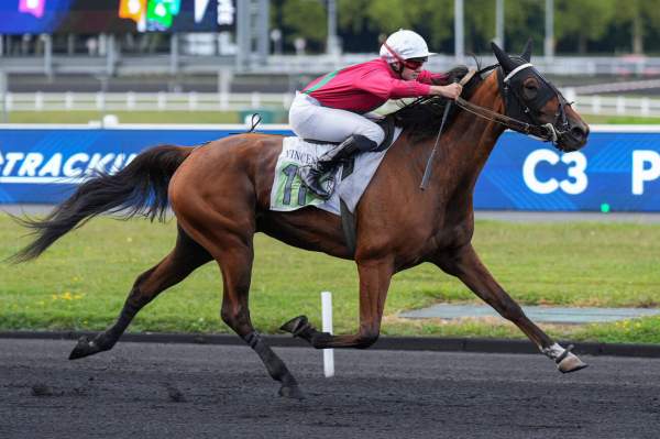 Photo de KATCHINA FOR CLARA cheval de TROT MONTE