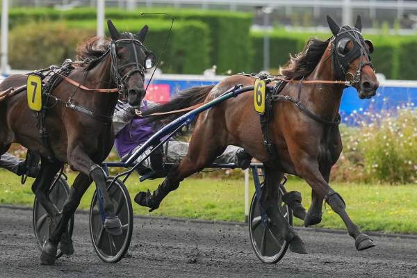 Photo de KITY DE LA MORTRIE cheval de TROT ATTELE