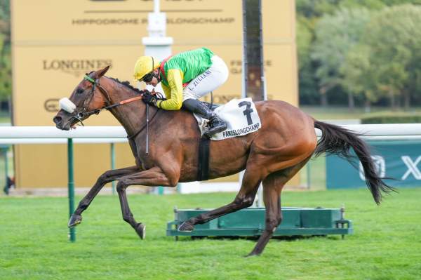 Photo de LOUISA BANBOU cheval de PLAT