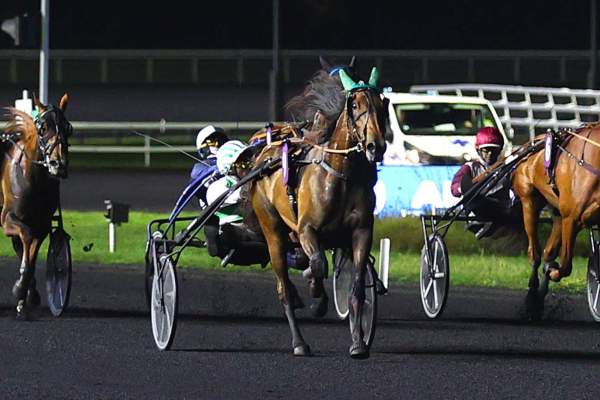Photo de MILADY OF PARIS cheval de TROT ATTELE