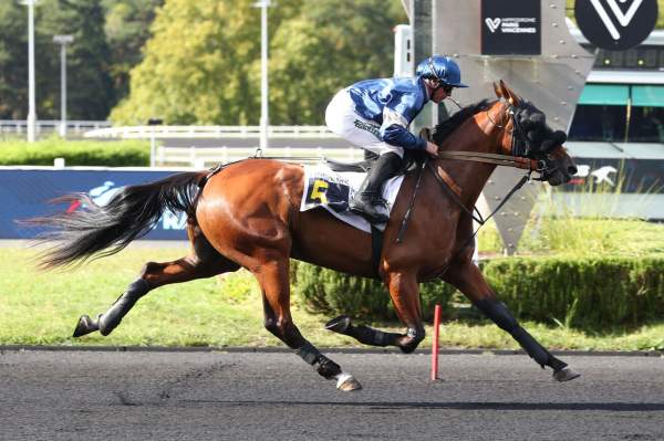 Photo de MIMI D'AUTHISE cheval de TROT MONTE