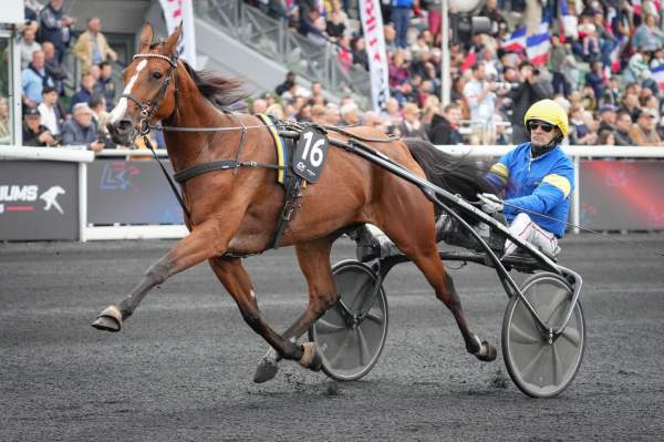 Photo de LIZA JOSSELYN cheval de TROT ATTELE