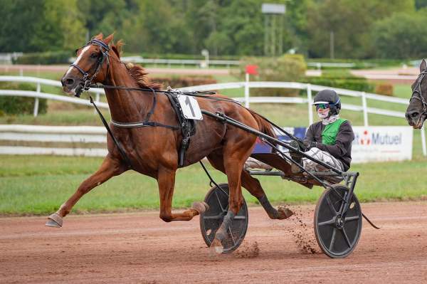 Photo de JASMIN BLEU cheval de TROT ATTELE