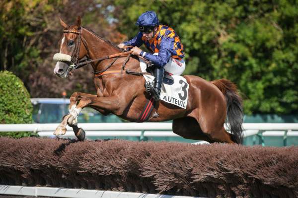 Photo de ROMAN SKIES cheval de STEEPLE CHASE
