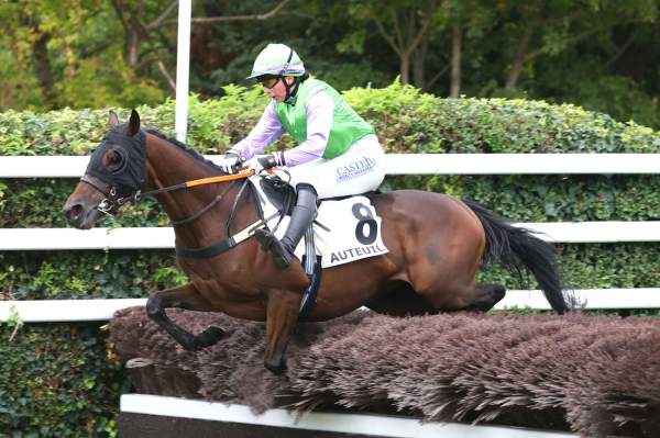 Photo de HEART AND SOUL cheval de HAIES