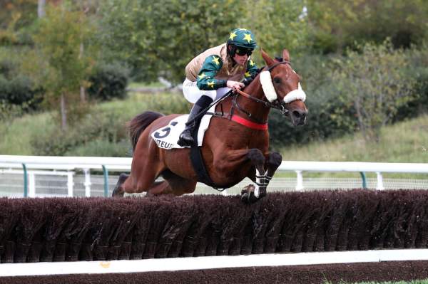 Photo de VOLCANA DU BERLAIS cheval de STEEPLE CHASE