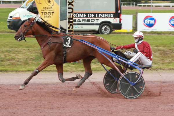 La photo de Musiko Cauvelliere 