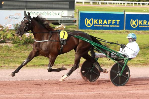 Photo de FEROX BRICK cheval de TROT MONTE