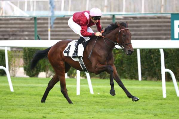 Photo de MADAME LY cheval de PLAT