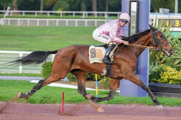 Photo de LEON DE LA COURBE cheval de TROT MONTE
