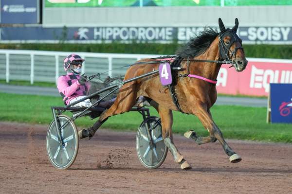 Photo de NONONINO cheval de TROT ATTELE