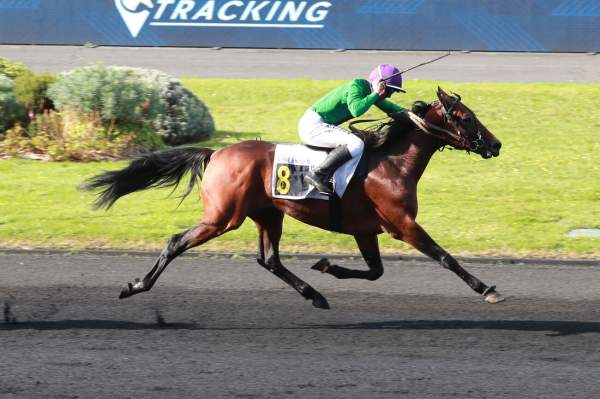 La photo de Lionheart arrivée pmu Prix des Elites (Gr.I) à Vincennes