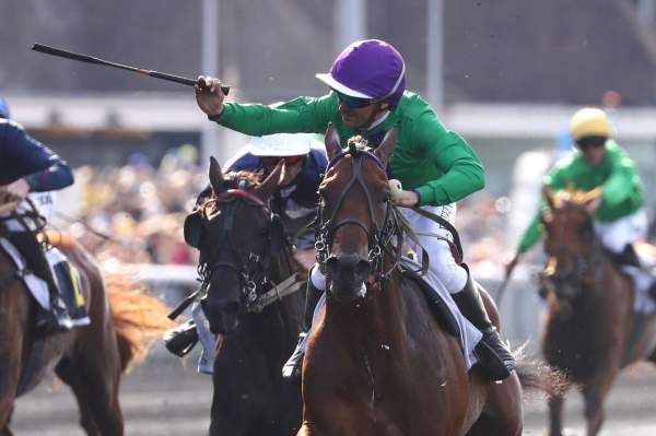 La photo de Lionheart Arrivée Pick5 PMU Prix des Elites 2025 à Vincennes