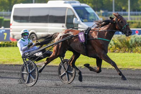 Photo de KARAMBAR cheval de TROT ATTELE