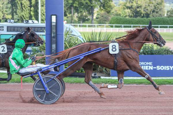Photo de MAVERICK DE FAEL cheval de TROT ATTELE
